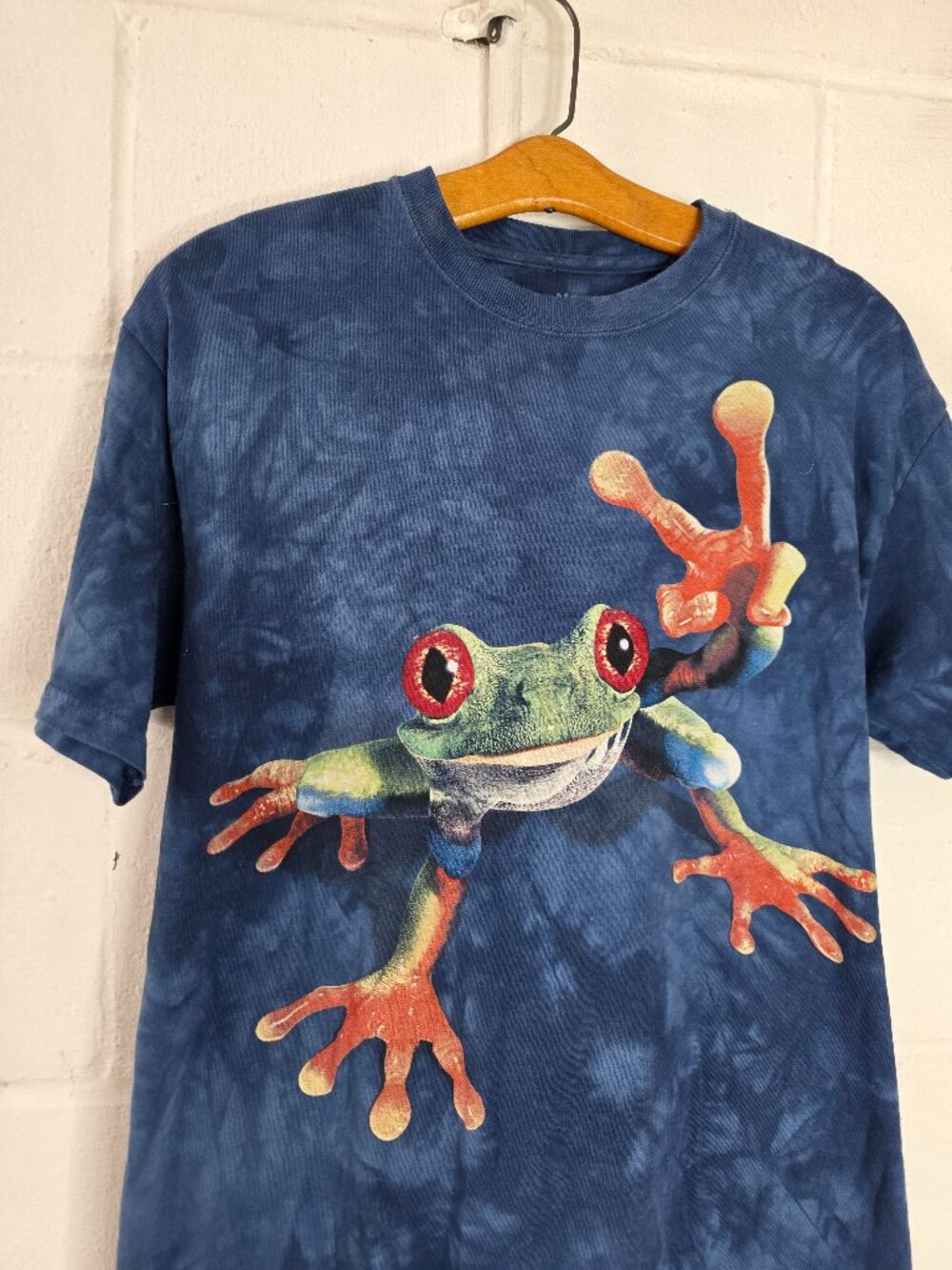 Gorpcore Eclectic Dadcore The Mountain Red Eyed Tree Frog "Victory Frog" Tshirt